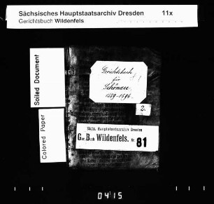 Gerichtshandelsbuch von Schönau (bei Wildenfels)