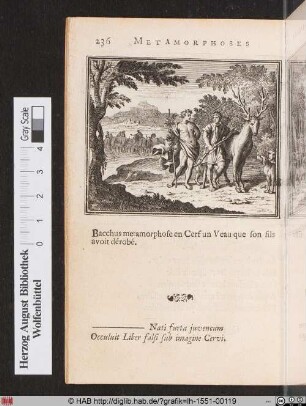 Un Veau changé en Cerf.