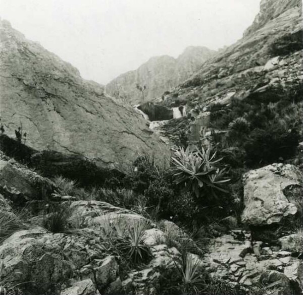 Le paysage de Paramon. C'est ici que l'Aracataca prend sa source