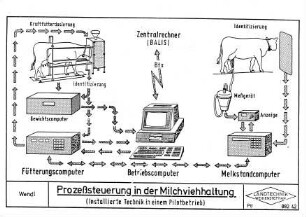 Prozeßsteuerung in der Milchviehhaltung (Installierte Technik in einem Pilotbetrieb)