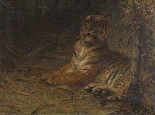 Liegender Tiger im Dschungel