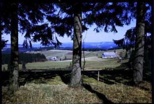 Thurner: vom Thurner, durch Tannen, Richtung Norden