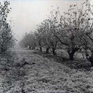 Berliner Ring - Priort