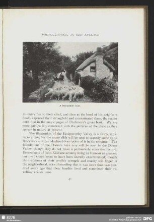A Devonshire Lane