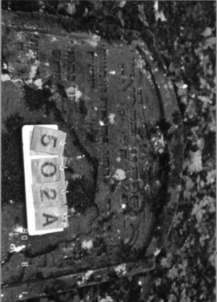 Grabstein 502 (Index: 99791116) Zustand: verwittert Maße HxBxT: 119x90xo.A. cm: Grabstein 502A