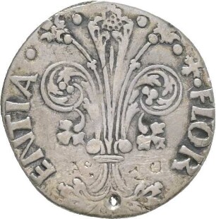 Florenz: Stadt