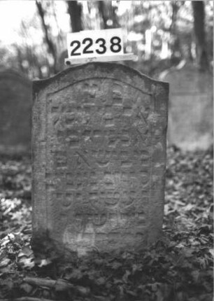 Grabstein 2238