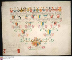 Ahnenprobe des Damian Friedrich Carl Franz Erwin v. Schönborn. - ausgefertigt 1763 April 20, Pergament