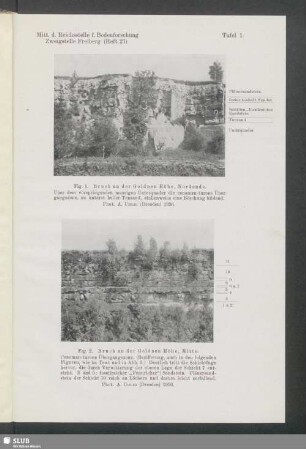 Fig. 1. Bruch an der Goldnen Höhe, Nordende - Fig. 2. Bruch an der Goldnen Höhe, Mitte