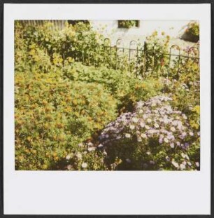 Buntes Blumenbeet