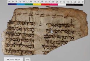 Fragment einer hebräischen Bibel : Divre ha-Yamim 2