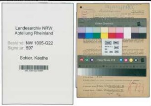 Entnazifizierung Kaethe Schier , geb. 25.10.1899 (Milchhaendlerin)