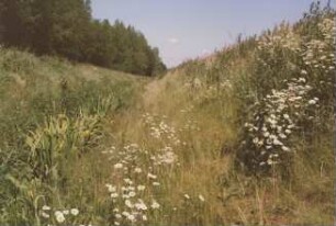 Streckenausbau am Mittellandkanal