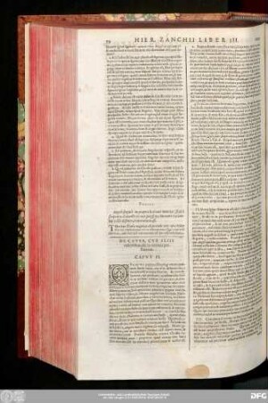 De Causa, Cur Aliis cadentibus, alii in veritate perstiterint. Caput II.