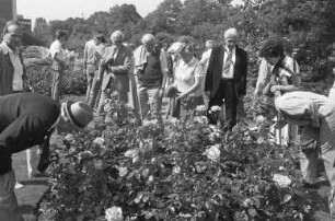 Öffentliche Führung zur Rosenblüte im Stadtgarten Karlsruhe
