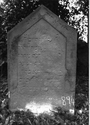 Grabstein 895