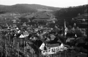 Bickensohl: Blick vom Weinberg auf den Ort