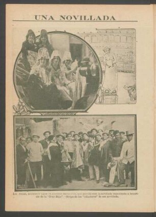 Una novillada