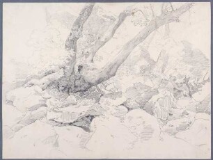Verkrüppelter Baumstamm auf Felsen bei Ariccia