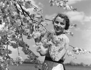 Junge Frau an Kirschblüten