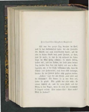 Fünfunddreißigstes Kapitel