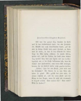 Fünfunddreißigstes Kapitel