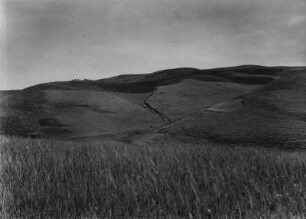 Landschaftsblick : Blick auf eine Hügellandschaft nördlich Sétifs. Zu sehen sind kahle Felsen, Weizenfelder und Macchiebüsche.