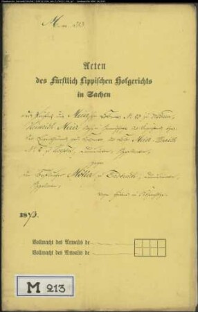 Meier, Heinrich zu Wöhren Nr. 23 (Pächter) und Eigentümer Meierhenrich Nr. 2 in Heesten gegen Forstläufer Möller in Erdbruch - Hüten im Wöhrenholz (Wöhrholz)