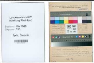 Entnazifizierung Stefanie Spitz , geb. 31.08.1897 ()