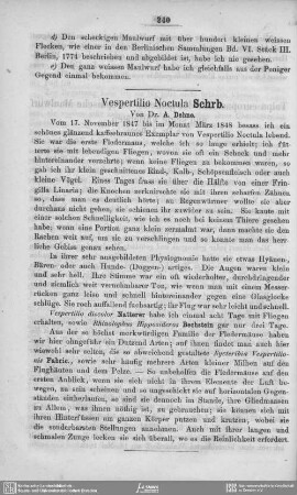 Vespertilio Noctula Schrb.