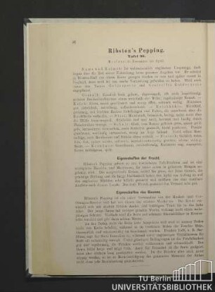 Ribston's Pepping. Tafel 30.