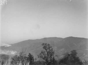 Gebirgslandschaft : Vegetationslandschaft eines Gebirges