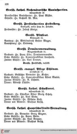 Großherzöliche Forstinspection und Großh. Physicat, Großherzogliche Verwaltungen