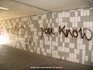 THE iLLEST... you Know | AK 2008 | -ICE- | Jelena + Raph | RAZ TS