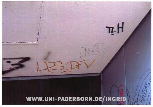 LPS DFV