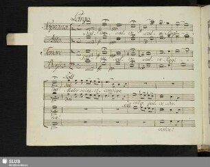 Salve Regina