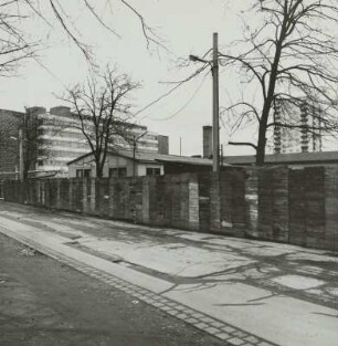 Lingnerallee
