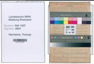 Entnazifizierung Thomas Hermanns , geb. 03.07.1891 (Organist)