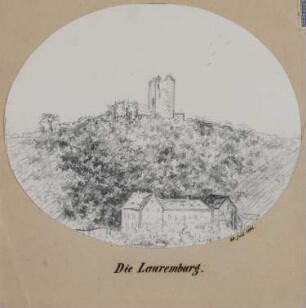 Laurenburg (Rheinland-Pfalz): Burgruine