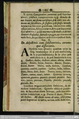 Cap. X. De Adjectivis cum substantivis, corumque differentia