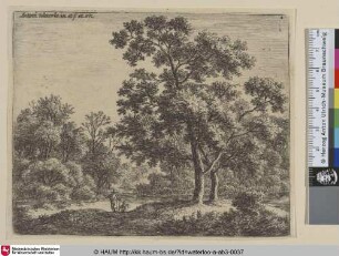 [Zwei Wanderer im Wald; Two travellers in a wood]