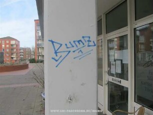 BumZ 1