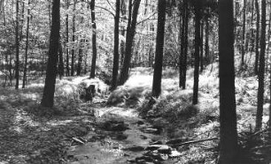Triebischtal-Munzig. Bergbau, im Diebesgrund