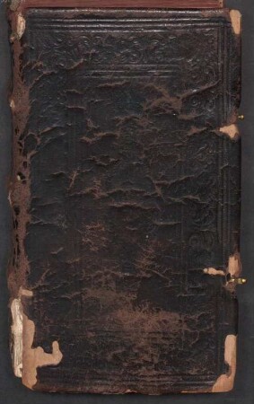 Psalterium Davidis, iuxta Vulgatam editionem : d. gemeinen Mann, christl. Jugend, auch Geistlichen u. Klosterstandts Personen zu Nutz in beide Sprachen in diese Form gestelt = Der Psalter Davids, nach alter in christlicher Kyrchen gehabter Translation