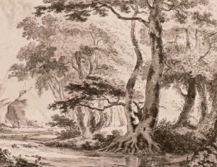 Bewaldetet Flußlandschaft