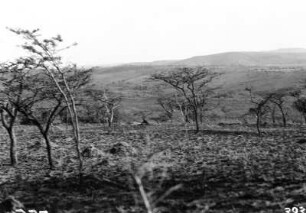 Landschaft : Landschaft im Umfolozi-Park