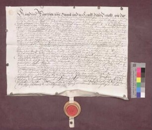 Simon Wagner und Hans Asall zu Marzell verkaufen der badischen Landesadministration ca. 19 Jauchert Jungwald um 240 Gulden 30 Kreuzer.