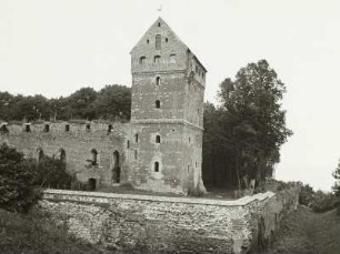 Balga (Wessjoloje), Ordensburg, Ansicht