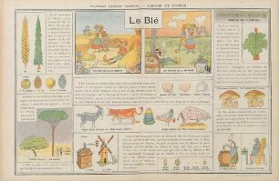 Le Blé