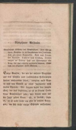 Achtzehnter Abschnitt.